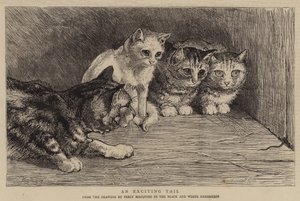 Une queue excitante - Percy Macquoid